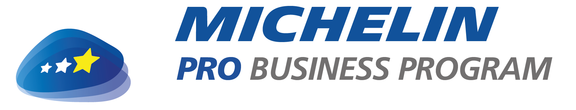 Michelin Pro Business Program